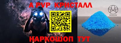 стафф Гатчина
