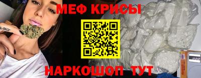 стафф Гатчина