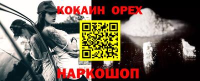 стафф Гатчина