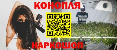 стафф Гатчина