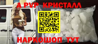стафф Гатчина