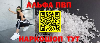 стафф Гатчина